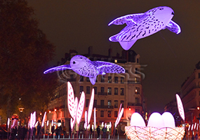 Ethereal Flight: Our 6m 
